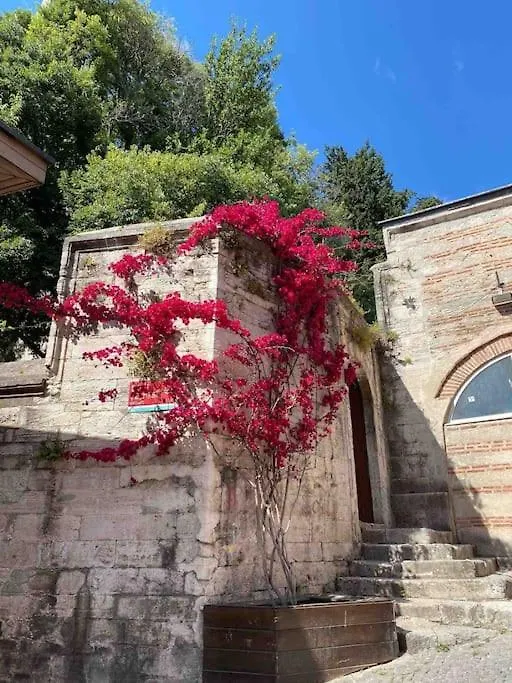 Erkul Old City 2 Istanbul